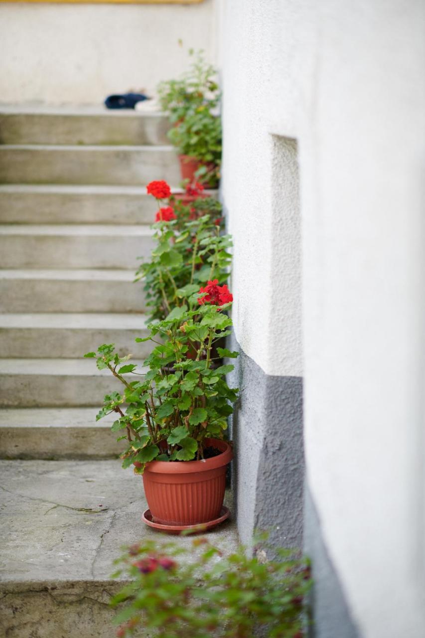Lovely House Apartment Sarajevo Exterior photo